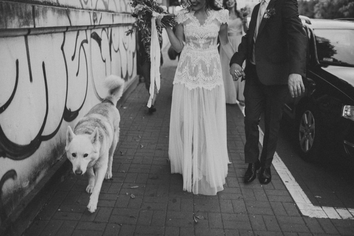 671-em-fot-viabirdie