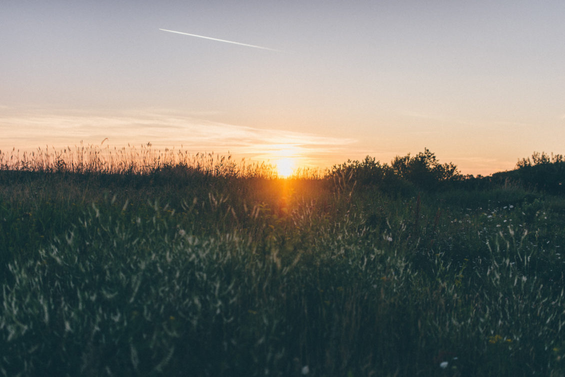 Lewko & Hana, fot. viabirdie-222