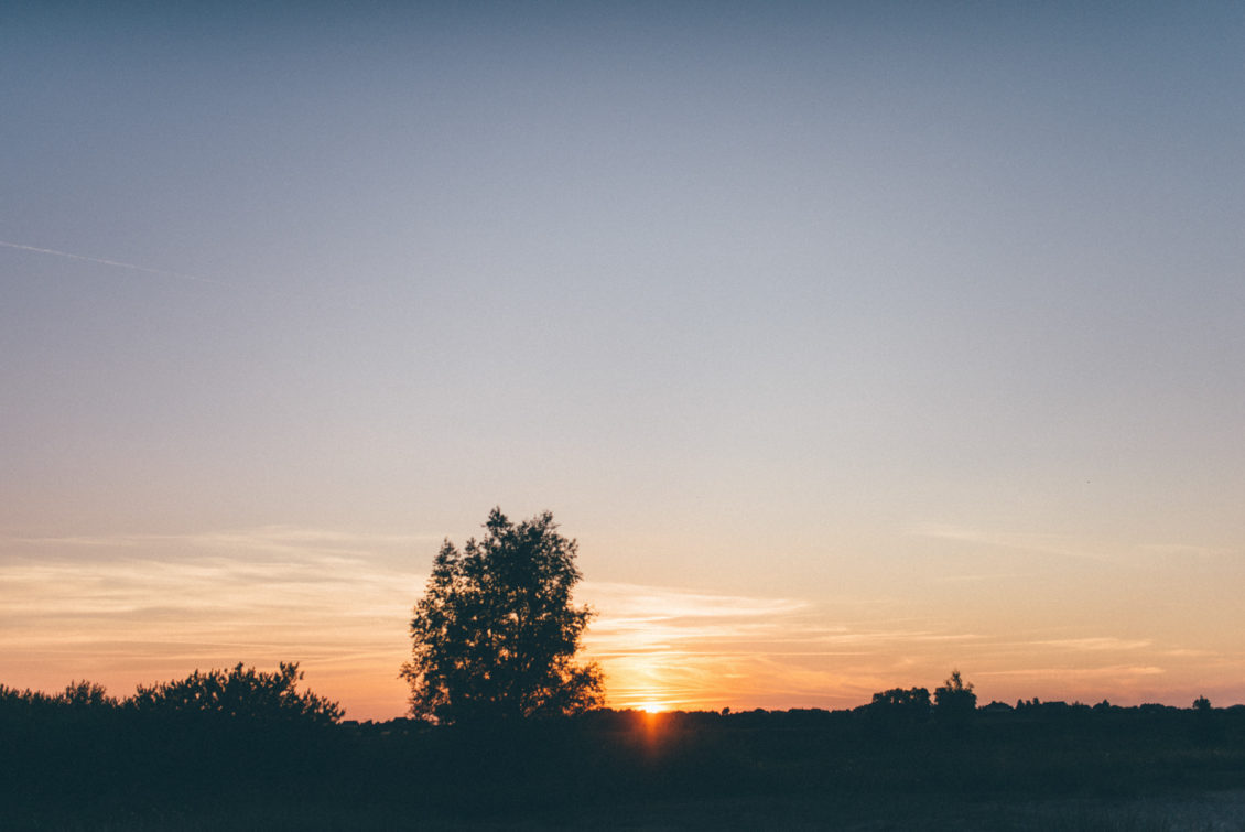 Lewko & Hana, fot. viabirdie-236