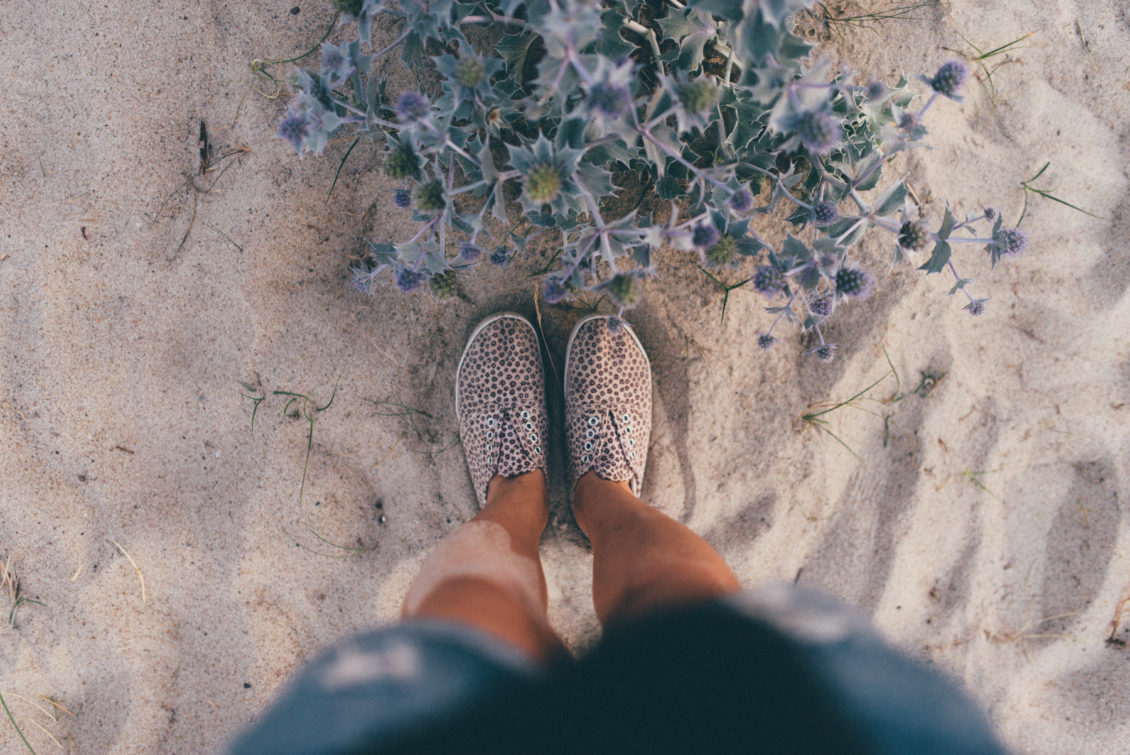 Lewko & Hana, fot. viabirdie-277