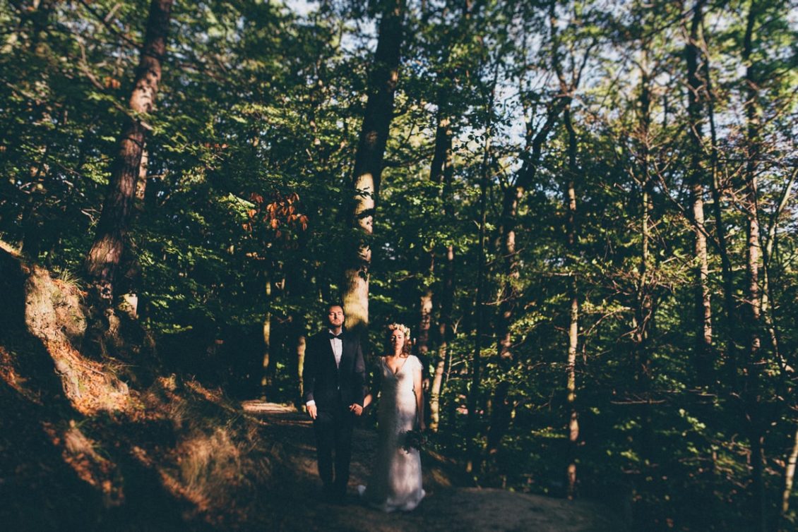 121-al-plener-fot-viabirdie