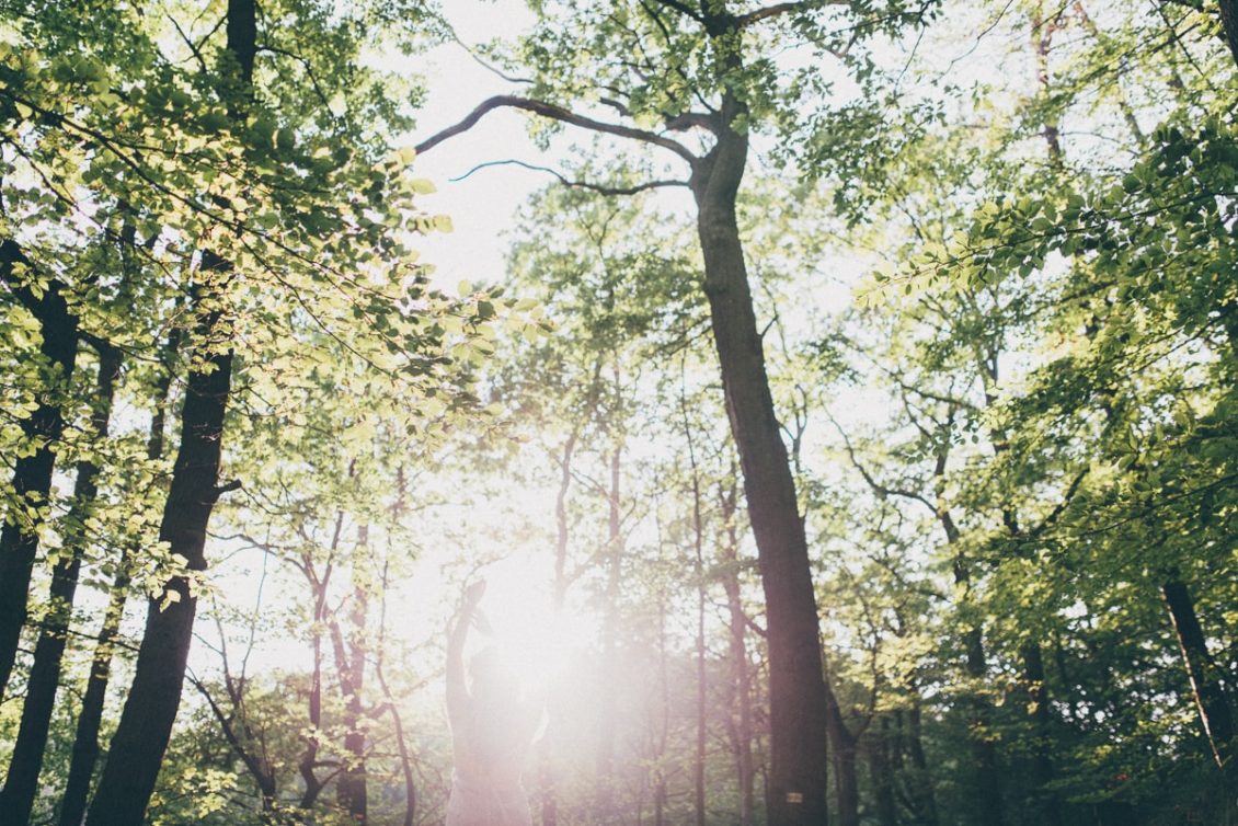 158 . A&Ł plener fot. viabirdie