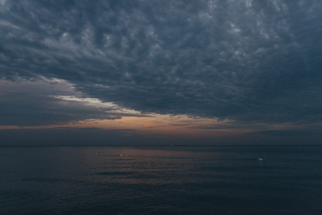 822-al-fot-viabirdie