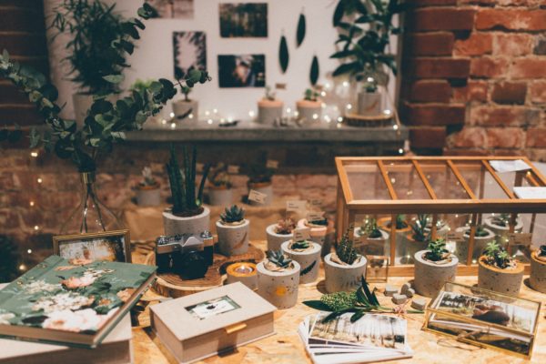 viabirdie & grow raw