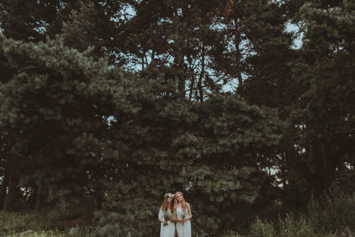 136. BOHO fot. viabirdie