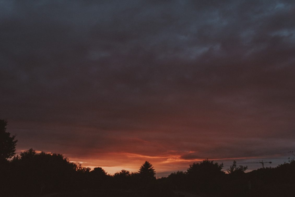 280. BOHO fot. viabirdie