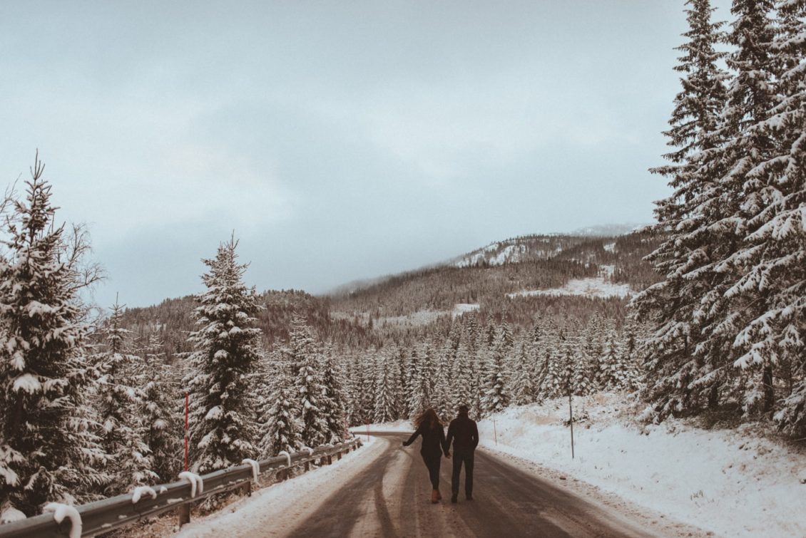 km-fot-viabirdie-109