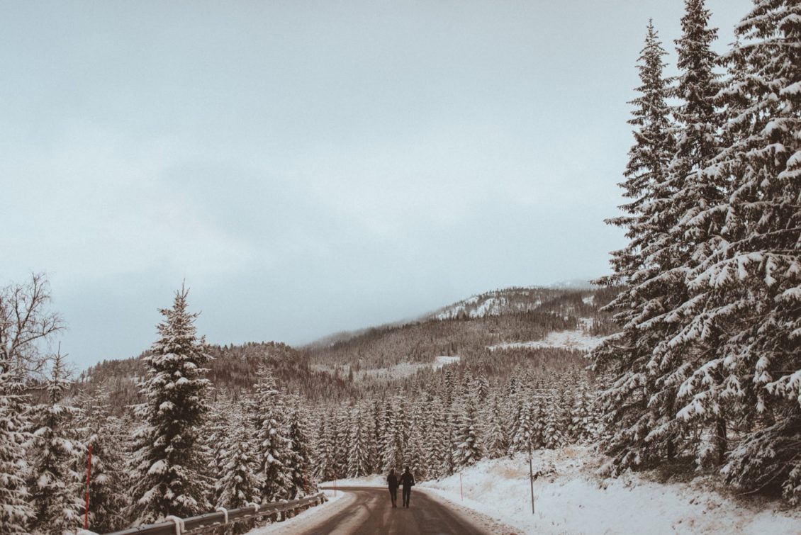 km-fot-viabirdie-113