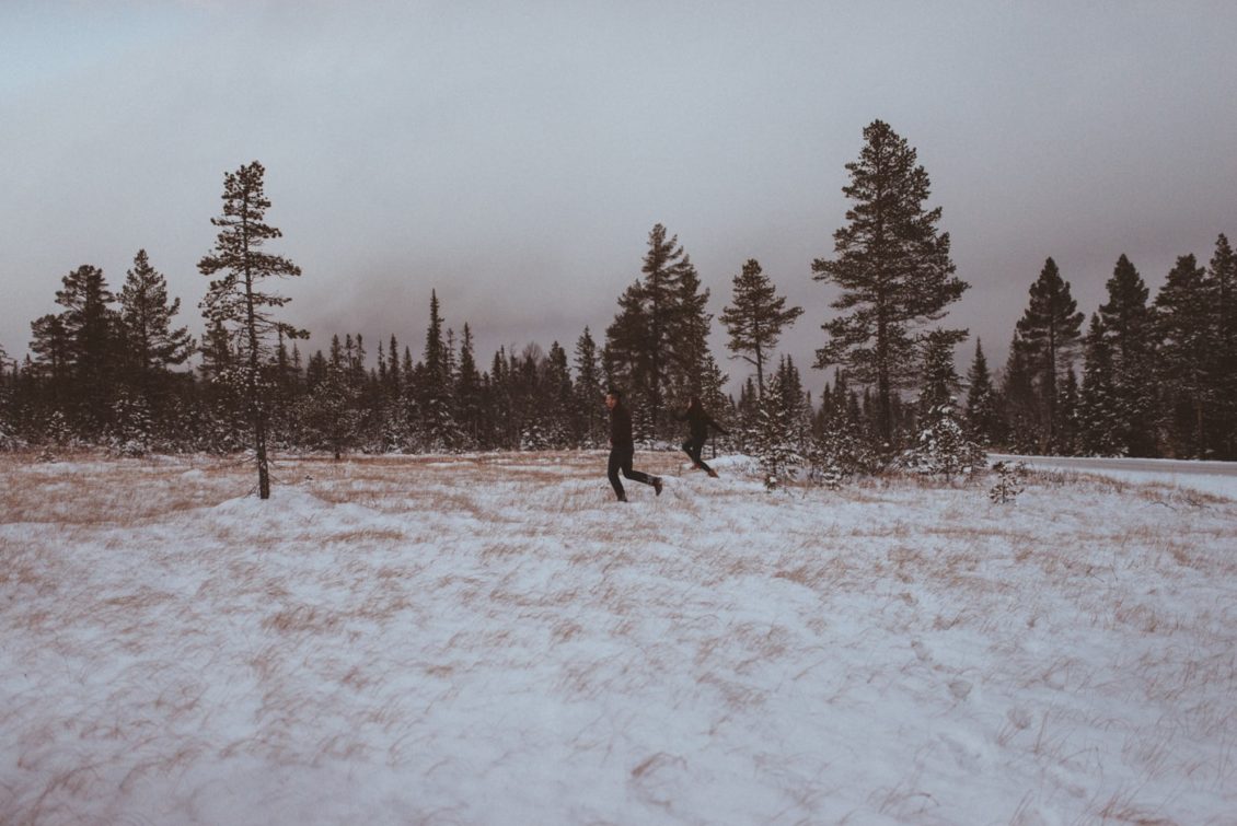 km-fot-viabirdie-130