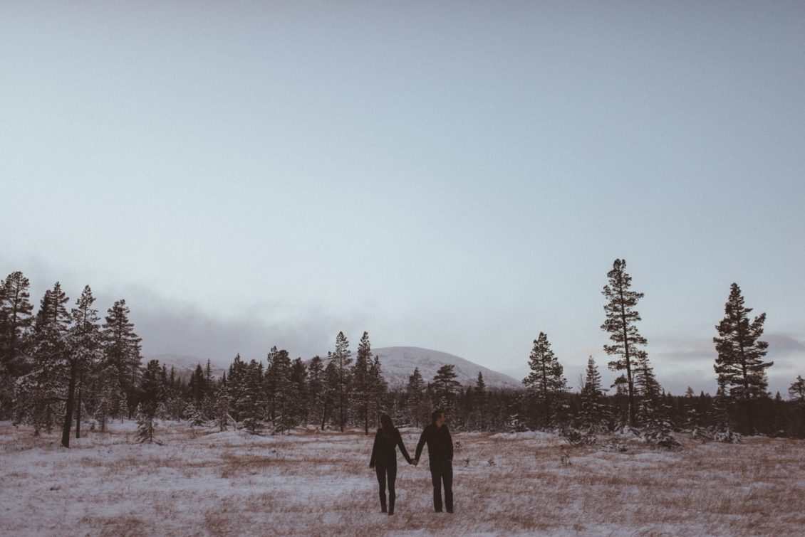 km-fot-viabirdie-134