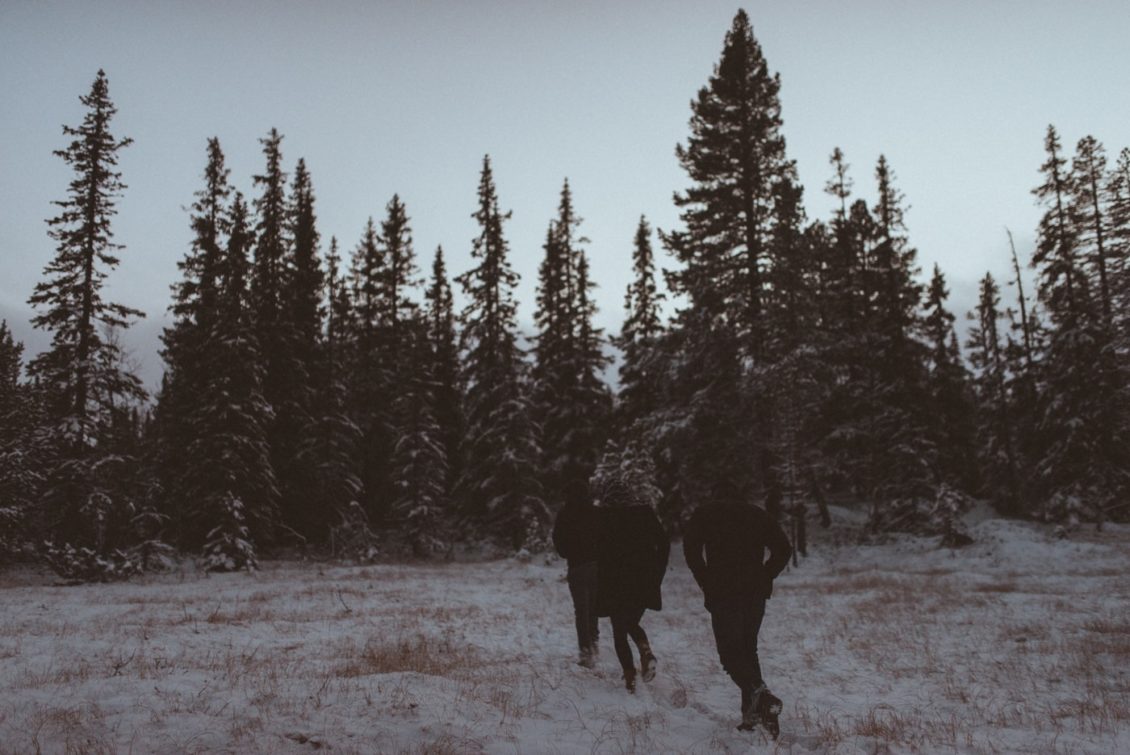 km-fot-viabirdie-154