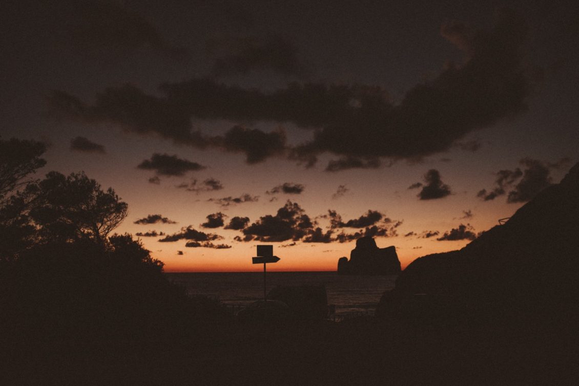 226-mr-fot-viabirdie