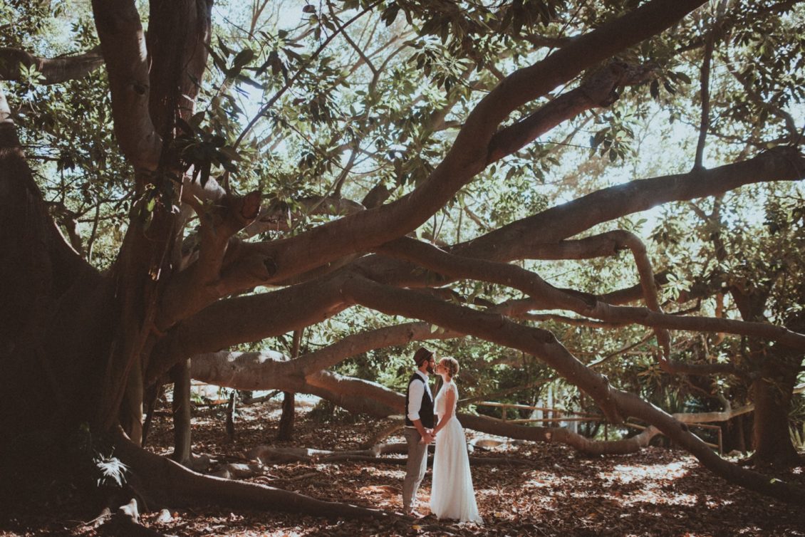 247-mr-fot-viabirdie