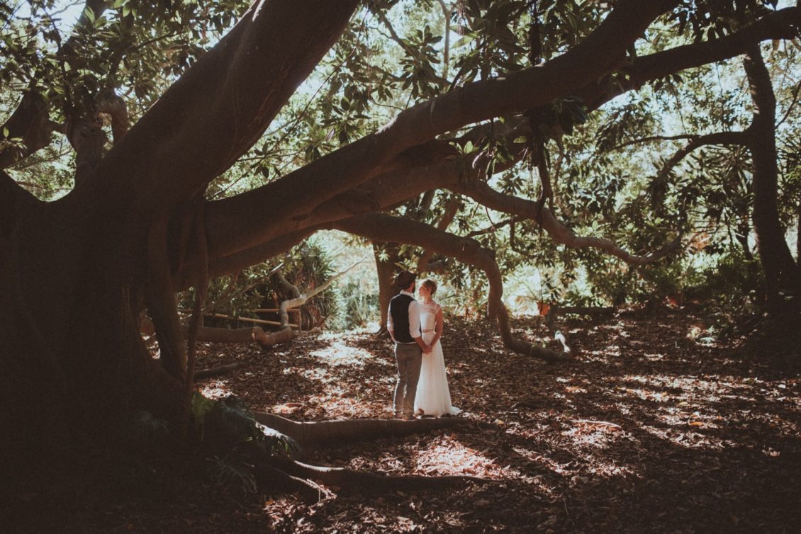 249-mr-fot-viabirdie