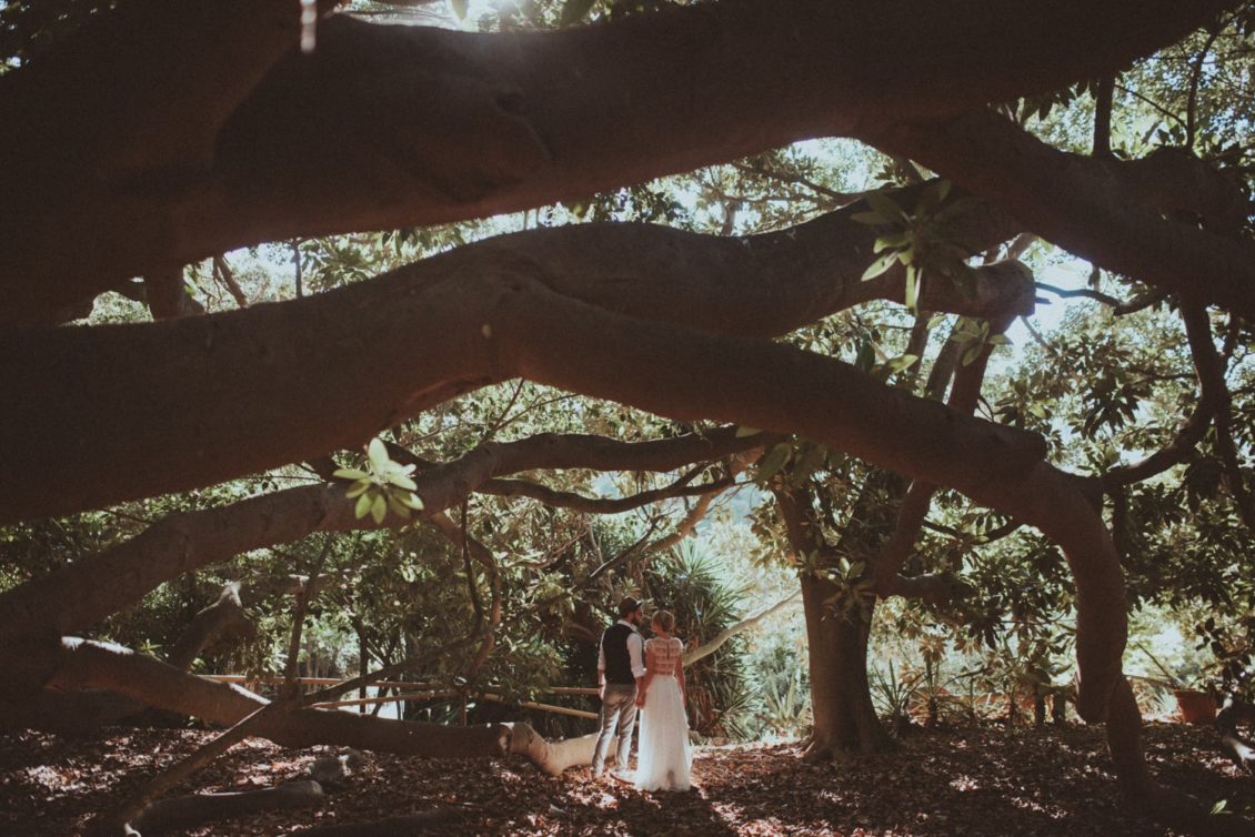 261-mr-fot-viabirdie