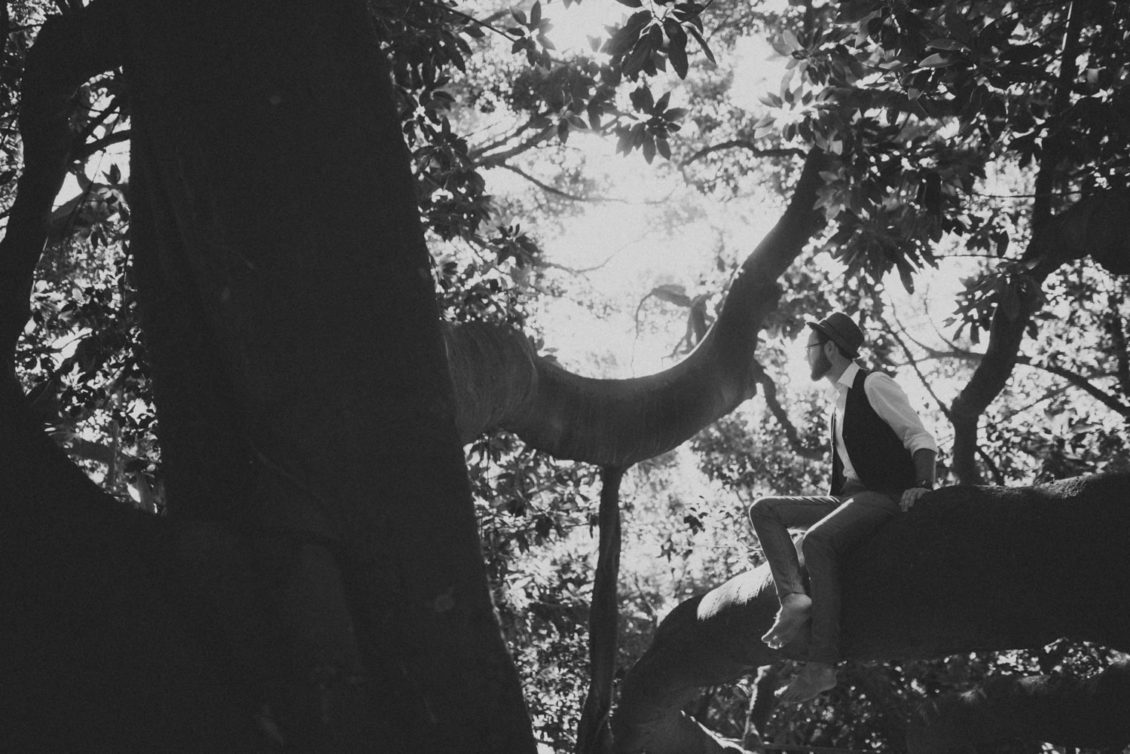 269-mr-fot-viabirdie