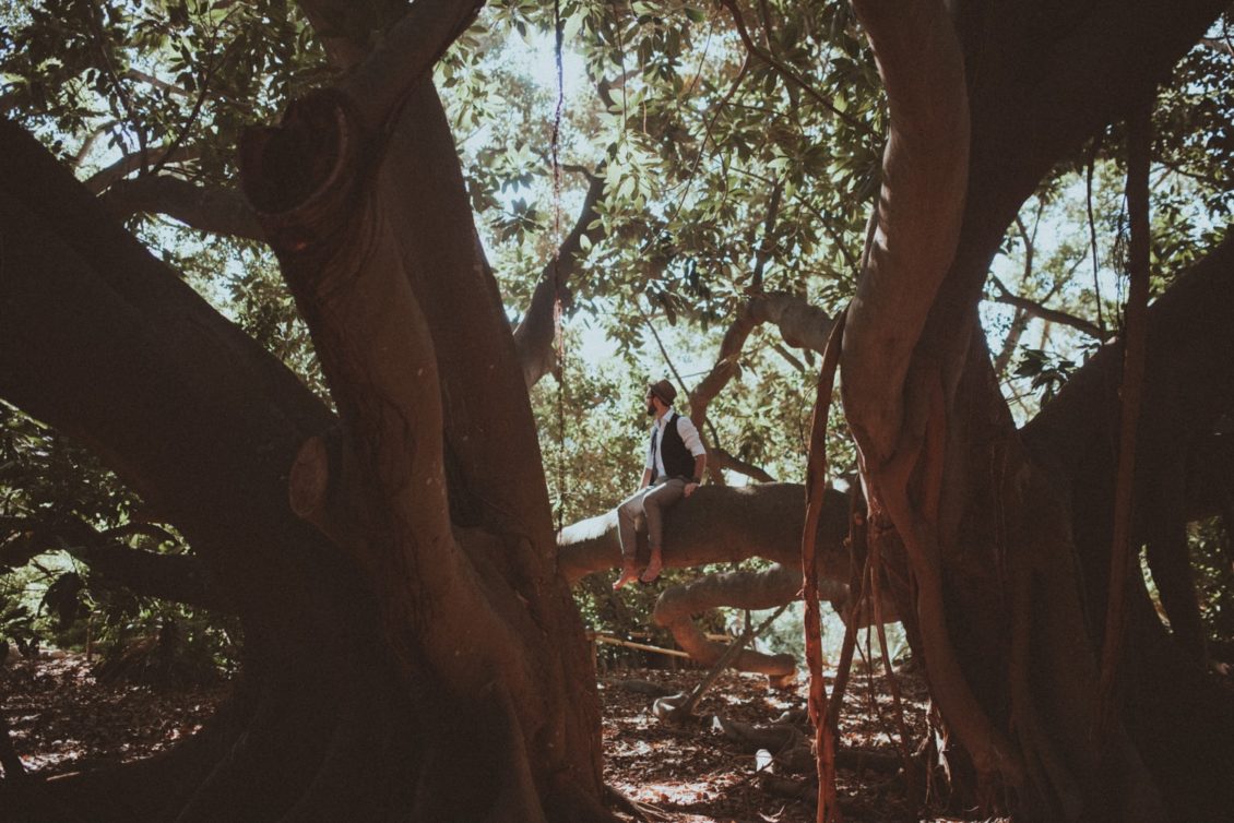 275-mr-fot-viabirdie