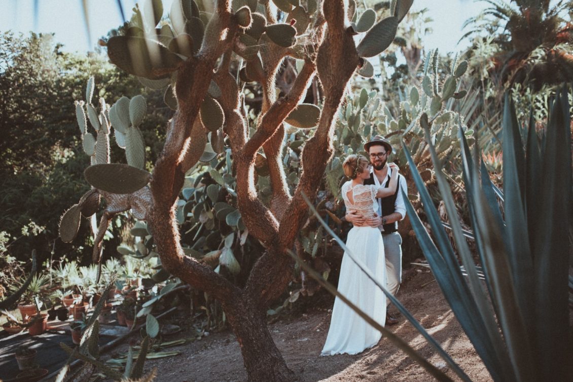 319-mr-fot-viabirdie