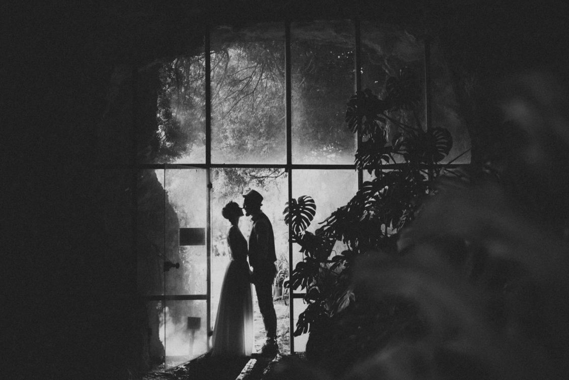 345-mr-fot-viabirdie