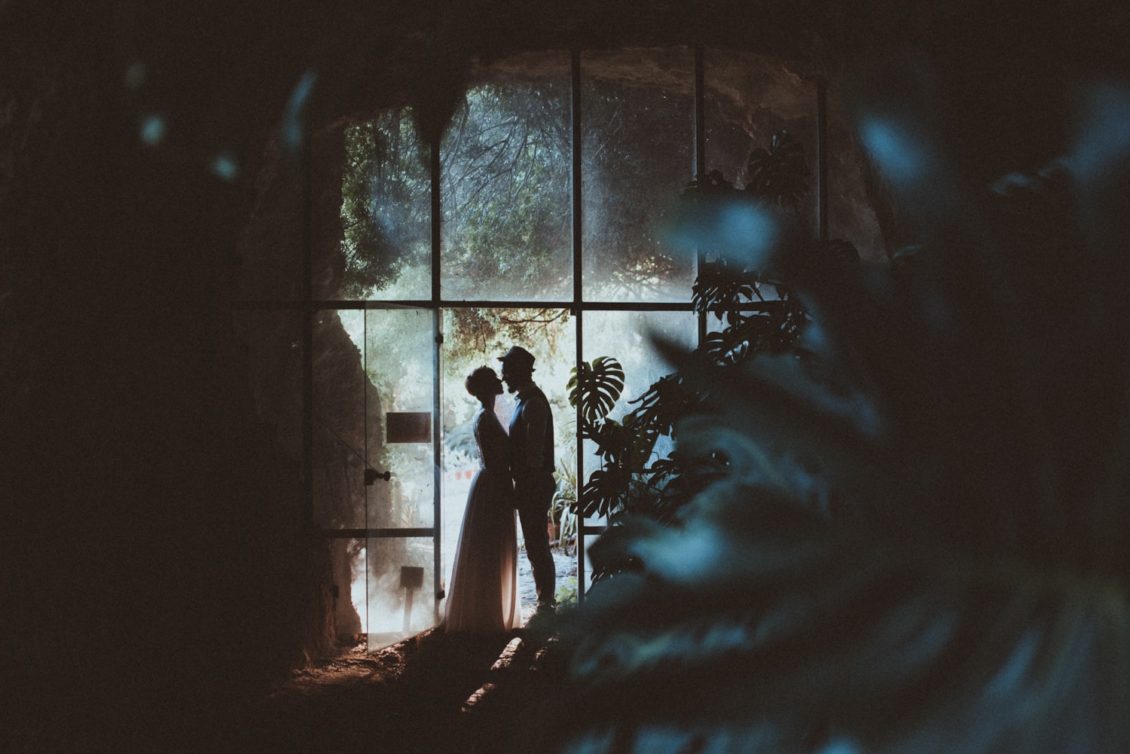 347-mr-fot-viabirdie